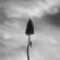 A Black Mile To The Surface - Manchester Orchestra