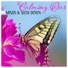 Calming Our Minds & Slow Down - Regeneration Sound Therapy, Stress Relief, Free Spirit, Feel Better, Sleep in Peace album lyrics, reviews, download