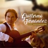 Guillermo Fernández - Tu Frialdad