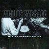 Winter Demonstration - Single