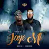 Jaye Mi (feat. Chinko Ekun) - Single album lyrics, reviews, download