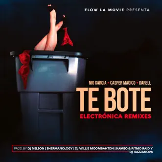 Te Boté (feat. DJ Willie) [Moombahton Remix] by Nio García, Casper Mágico & Darell song reviws