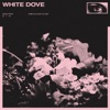 White Dove - Single