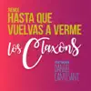 Hasta Que Vuelvas a Verme (Remix) [feat. Daniel Cantisani] - Single album lyrics, reviews, download