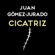 Juan Gómez-Jurado - Cicatriz