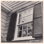 Fall Right In by Beach Fossils