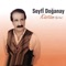 Banada Yazık Değilmi - Seyfi Doğanay lyrics