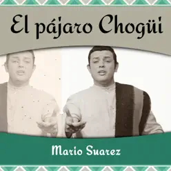 El pájaro Chogüi - Mario Suárez El pájaro Chogüi - Mario Suárez