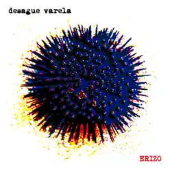 Erizo - Desagüe Varela