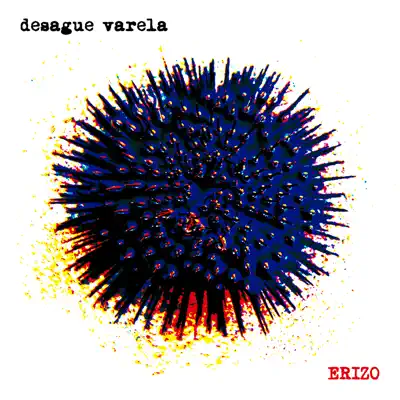 Erizo - Desagüe Varela