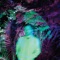 Animal (feat. fakuta) - DJ Raff lyrics