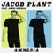 Amnesia (feat. James Newman) - Jacob Plant lyrics