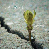 Satori - Far Removed