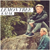 Lemon Tree (Acoustic) artwork