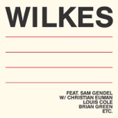 Sam Wilkes - Descending