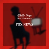 Fox News (feat. Fox News) artwork