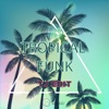 Tropical Funk - Single