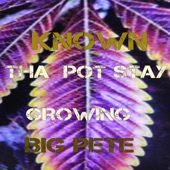 Tha Pot Stay Growing (feat. Big Pete) artwork