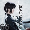 Ayame - Blacklotus