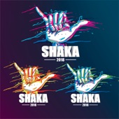 Shaka 2018 artwork