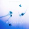 Borrowed Peace - Peter Sandberg lyrics