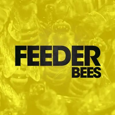 Bees (Alt Mix) - Single - Feeder