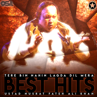 Nusrat Fateh Ali Khan - Tere Bin Nahin Lagda Dil Mera - Best Hits artwork