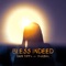 Bless Indeed (feat. Yahsha) - Don Tippa lyrics