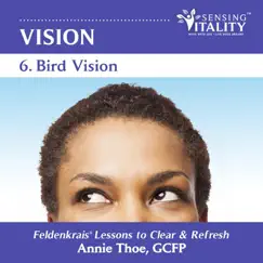 Vision 6. Bird Vision, Feldenkrais Lessons to Clear & Refresh by Annie Thoe album reviews, ratings, credits