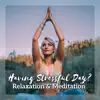 Having Stressful Day? Relaxation & Meditation - Soothing Music for Anxiety, Sleep, Inner Peace, Positive Feelings album lyrics, reviews, download