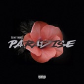 Paradise artwork