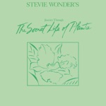 Stevie Wonder - Send One Your Love