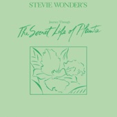 Stevie Wonder - Venus' Flytrap And The Bug