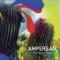 Colores - Ampersan lyrics