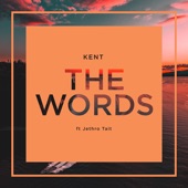The Words (feat. Jethro Tait) [Radio Edit] artwork