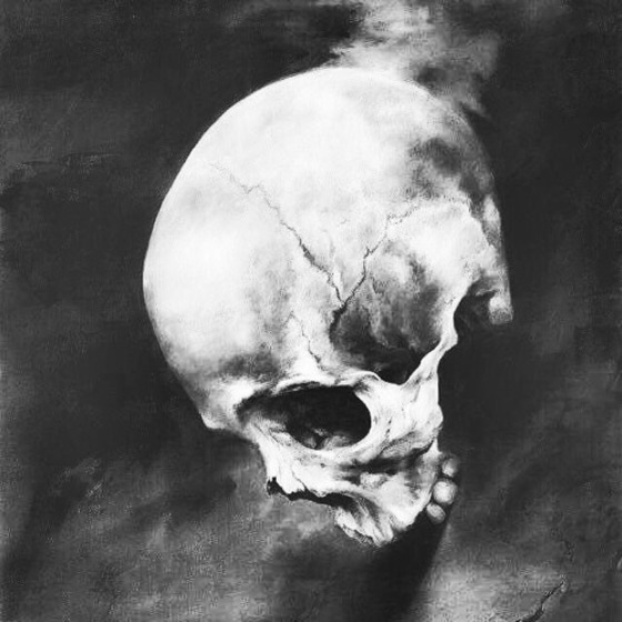 Cover artwork for Echoes in a Hollow Skull