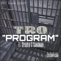 Program (feat. Dyablo & Sandman) - Single - Tro