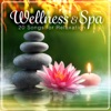 Wellness & Spa - 20 Songs for Relaxation