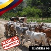 Made In Colombia / Llanero / 6