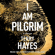 Terry Hayes - I Am Pilgrim (Unabridged)