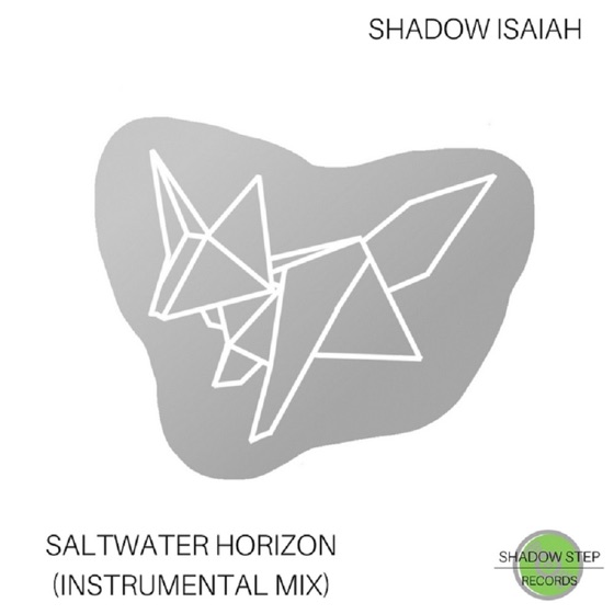 Cover artwork for Saltwater Horizon