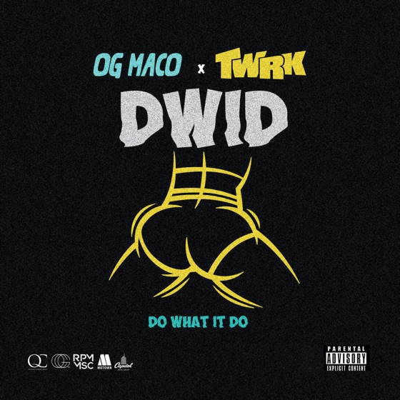 Cover artwork for Do What It Do