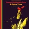 Mister Copy - Congo Ashanti Roy & Pura Vida lyrics