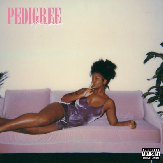 Cover artwork for Pedigree