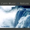 Calm Music of Nature: In the Wild, Smooth Waterfall, Tropical Rain, Birds Chirping, Feel Nature