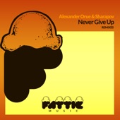 Never Give Up (Anto's Miami At Night Remix) artwork