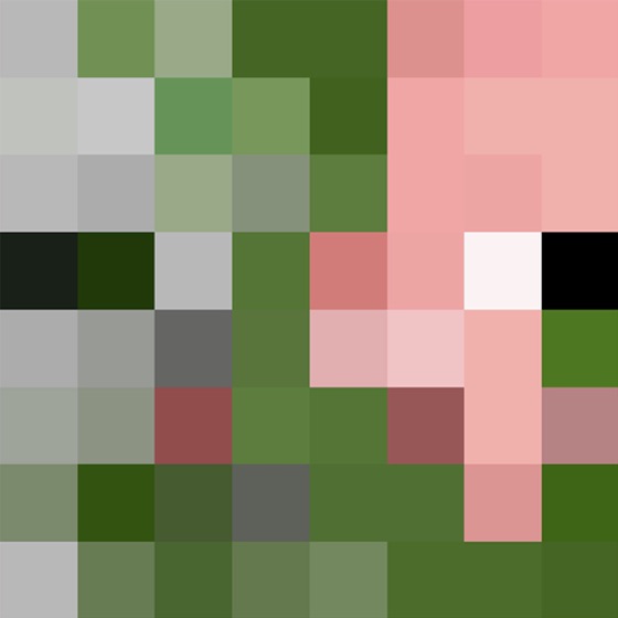 Cover artwork for Nether Zombie Pigman Minecraft Rap