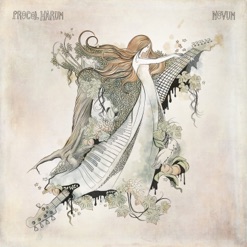 NOVUM cover art