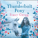 Stacy Gregg - The Thunderbolt Pony