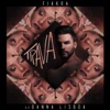 Trava (feat. Danna Lisboa) - Single